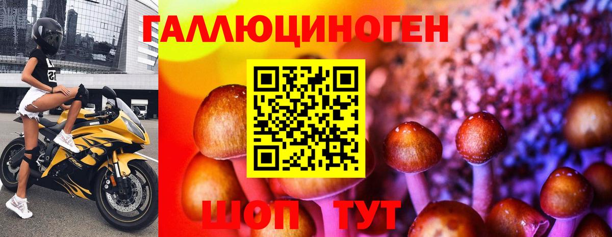 Галлюциногенные грибы Psilocybe  Вход с VPN  Валуйки 
